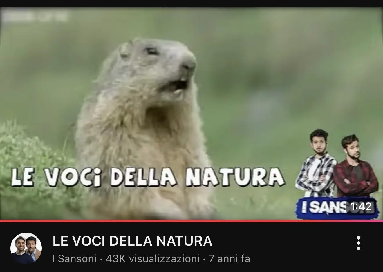 Miniatura del video Le voci della natura, il primo video virale de I Sansoni